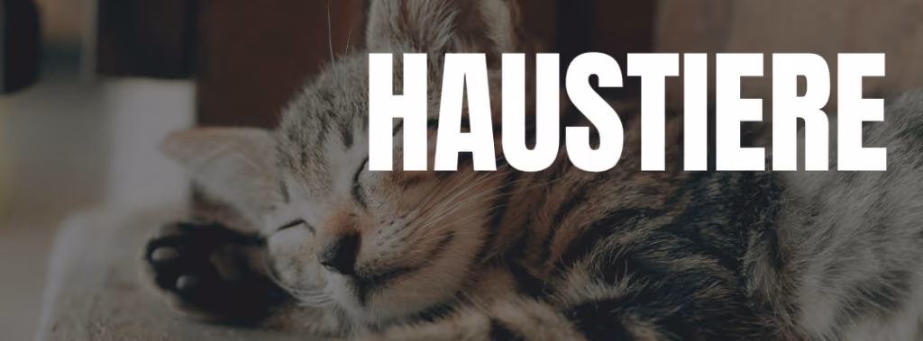 Haustiere Nische Print on Demand